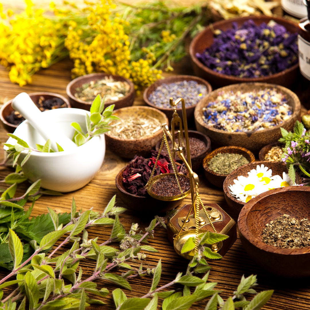 Why We Believe in Ayurvedic Herbs - Ancient Wisdom & Modern Science