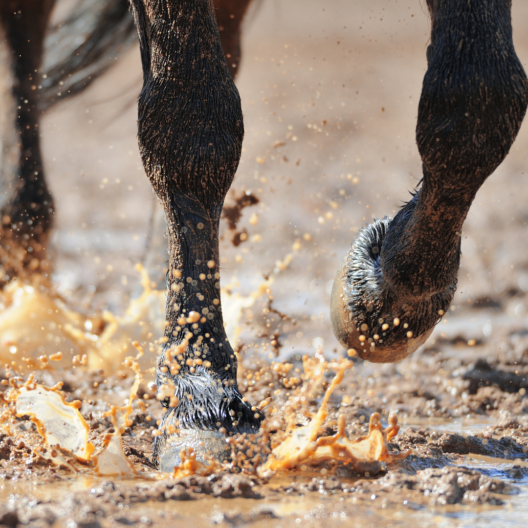 Caring for Skin in Wet & Muddy Conditions