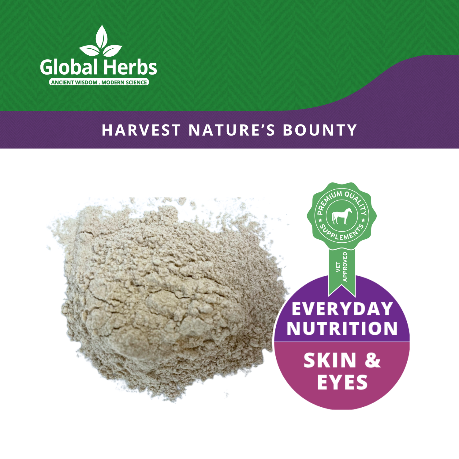 Garlic Powder 1kg - Global Herbs