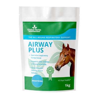 Airway Plus Powder - Global Herbs