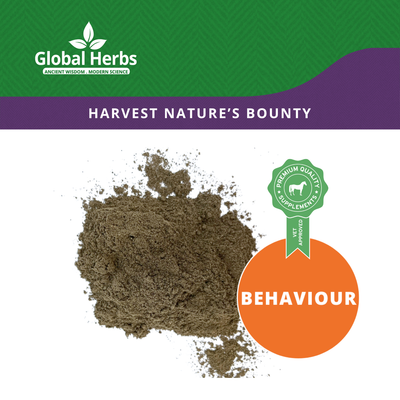 Agnus Castus Powder - Global Herbs