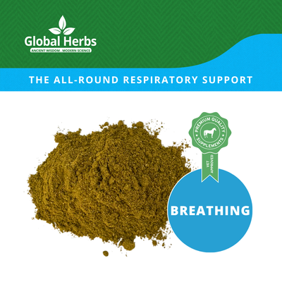 Airway Plus Powder - Global Herbs