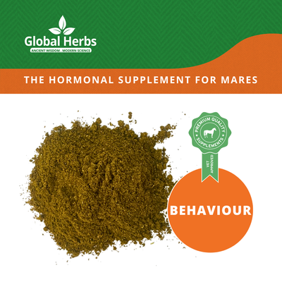 Friskymare Plus - Global Herbs