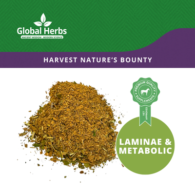 Herbal Lami Mix - Global Herbs