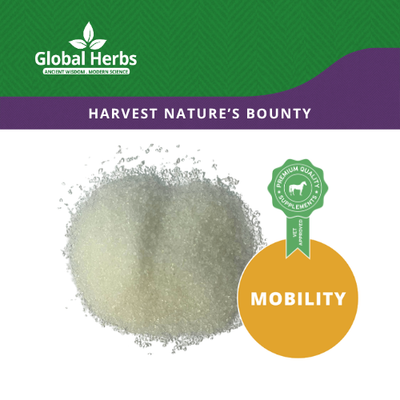 MSM 1kg - Global Herbs