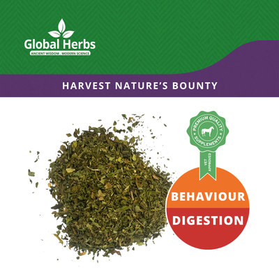 Mint Chopped - Global Herbs