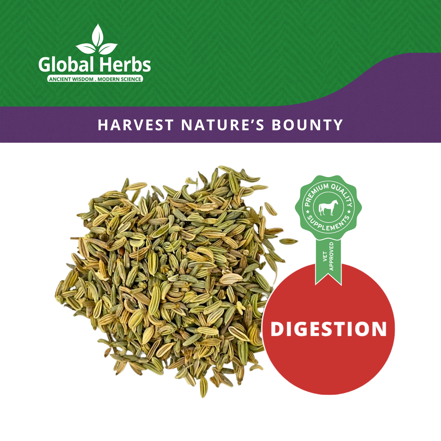 Fennel Seeds  - Global Herbs