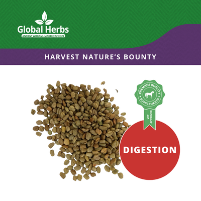 Fenugreek 1kg - Global Herbs