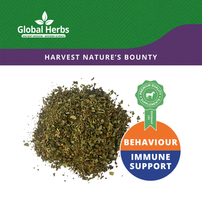 Lemon Balm - Global Herbs