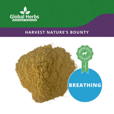 Liquorice powder - Global Herbs