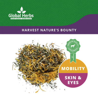 Lymphatic Support Mix - Global Herbs