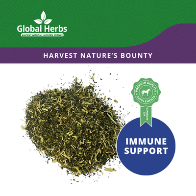 Nettle Leaf - Global Herbs