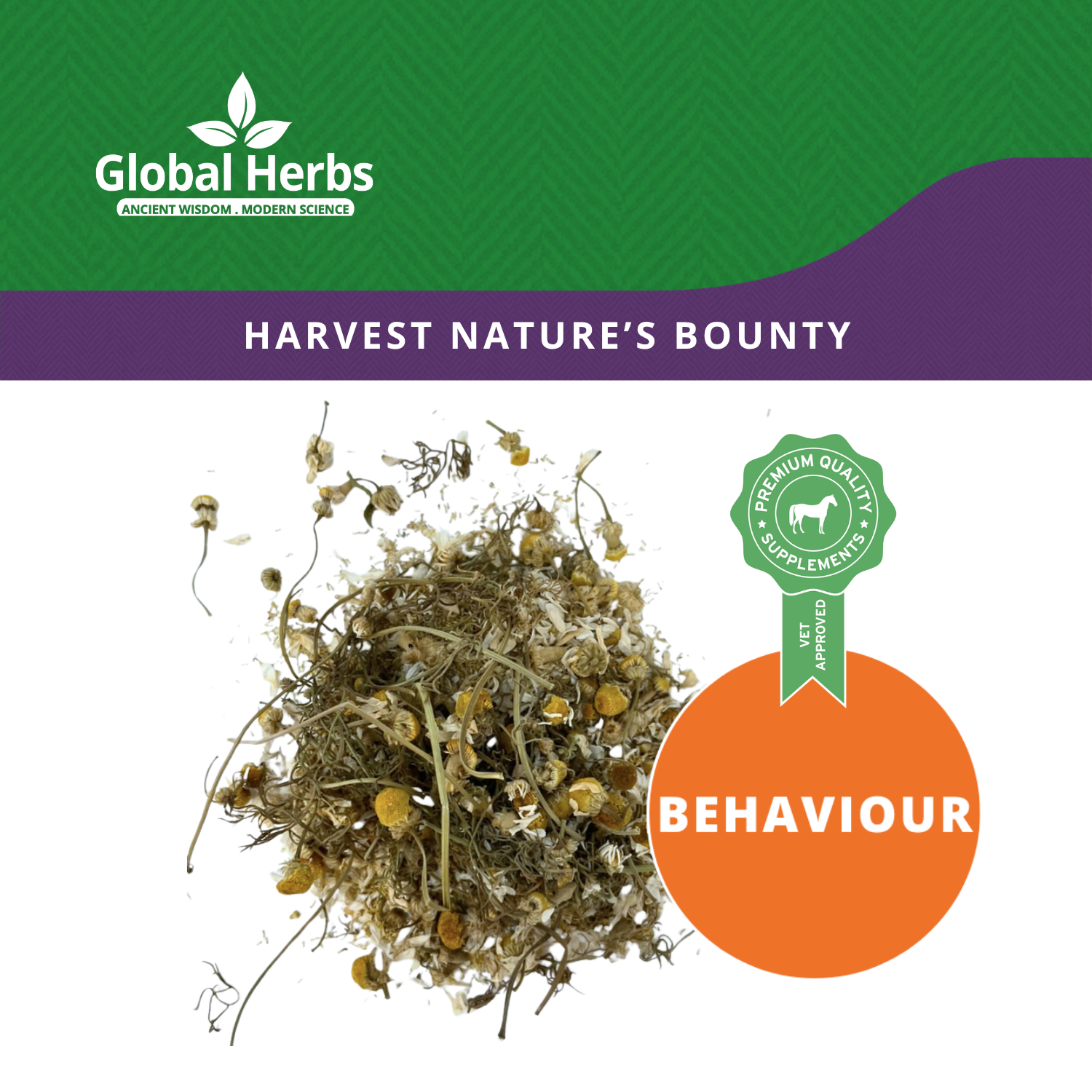 Whole Chamomile - Global Herbs